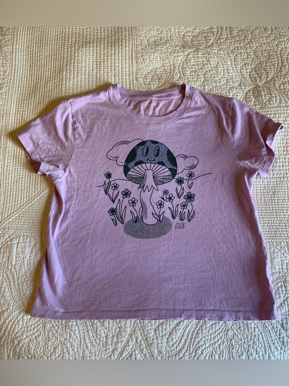 American Eagle graphic cropped baby tee